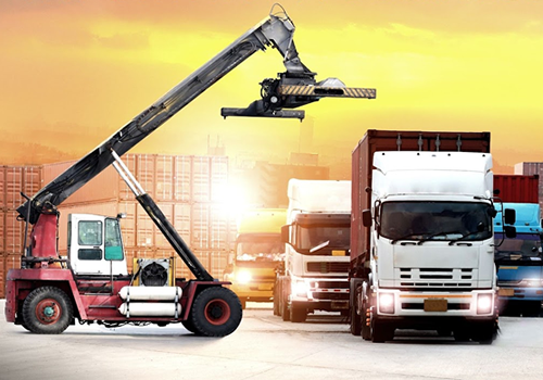 Importation Training & Business Consultancy