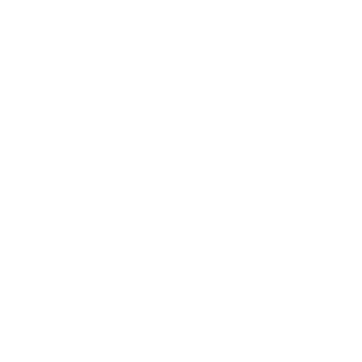 Our Service